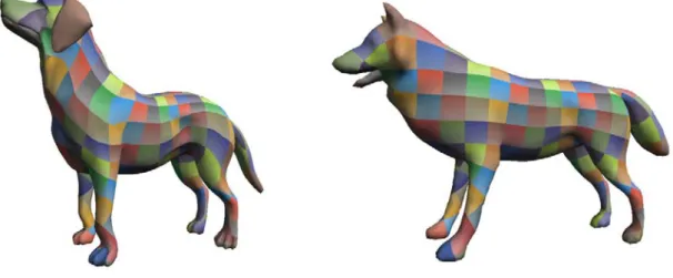Figure 4.7: The cross-parameterization between the dog and wolf model.