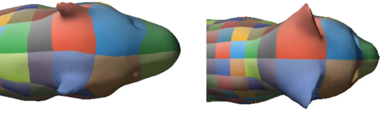 Figure 4.12: The cross-parameterization of the head part between the lion and cat model.