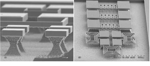 圖 5-8  結構深度 30 μm、結構寬度 5 μm (a)懸浮梳狀致動器結構圖  (b)彈簧結構懸浮放大圖 