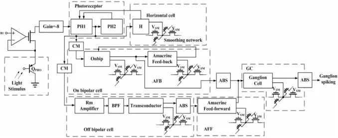Fig. 3. 1. The block diagram of a single pixel. 