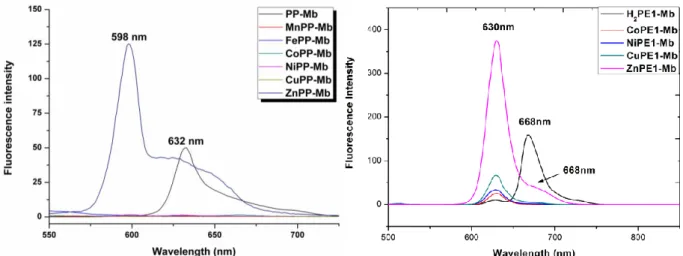 Figure 2-4 The emission spectra of reconstituted ZnPP-Mb and ZnPE 1 -Mb in 100 mM KPi