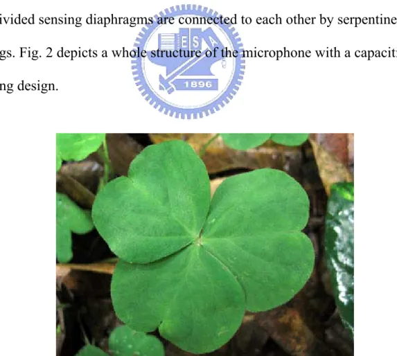 Fig. 2-1 A picture of the three leaves oxalis [11]. 
