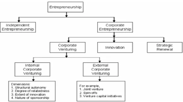 圖 2-5 Hierarchy of Terminology in Corporate Entrepreneurship  資料來源: Sharma and Chrisman, 1999 