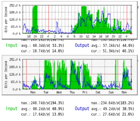 Figure 3. A leased line traffic statistics of a company 