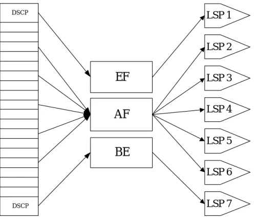 Figure 7. A relationship among DSCP, EF, AF and BE traffic flows and LSPs 