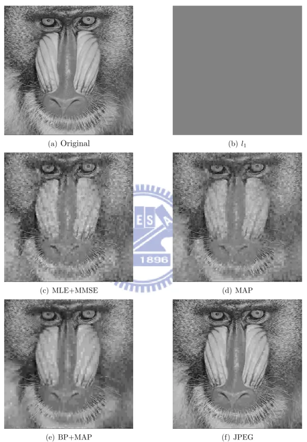 Figure 5.2: Baboon, average bpp=0.52, PNSR : (a) inf (b) fail (c) 21.726 (d) 22.032 (e) 23.427 (f) 26.263