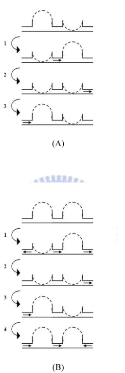 圖 1.5  高壓縮比蠕動相位示意圖 (A)二腔三相位；(B)二腔四相位 