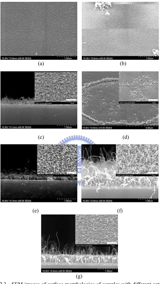 Figure 2.3    SEM images of surface morphologies of samples with different catalysts  after CNT synthesis process: (a) 20Co, (b) 20Co/20Cr, (c) 20Co/100Al, (d)  20Co/2oCr/20Al, (e) 20Co/20Cr/50Al, (f) 20Co/20Cr/100Al, and (g)  20Co/20Cr/200Al