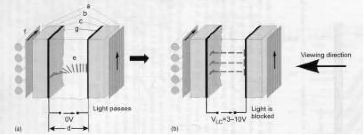 Figure 1.10 The structure of a TN-LCD (a) while light is passing, and (b) while light is  blocked