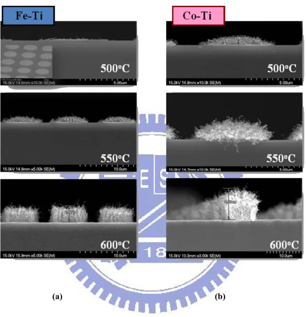 Figure 2-20    The pillar-liked CNTs profile image by SEM by (a) Fe-Ti catalyst (b)  Co-Ti catalyst