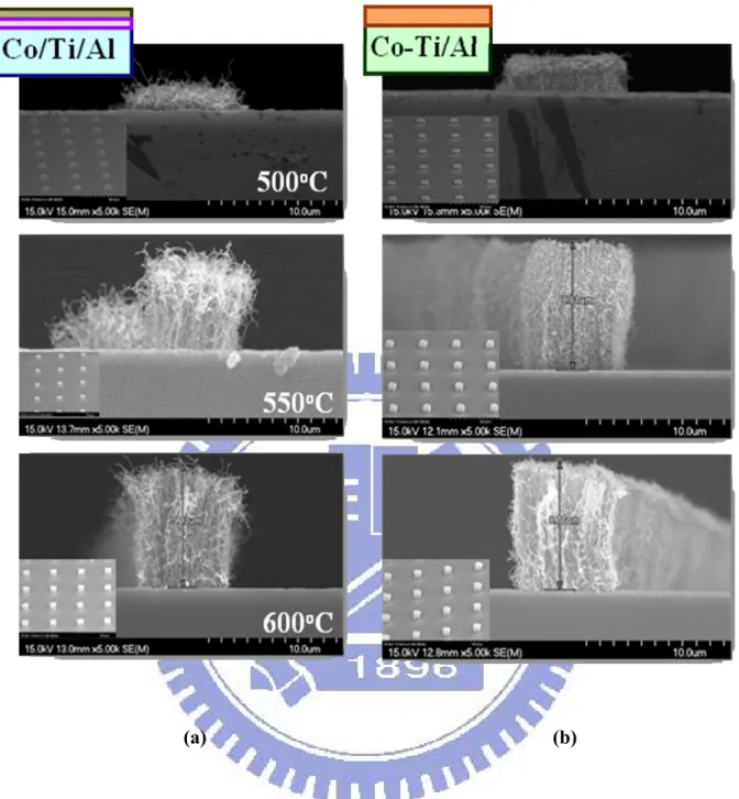 Figure 2-22    The pillar-liked CNTs profile image by SEM by           (a) Co-Ti/Al catalyst (b) Co/Ti/Al catalyst