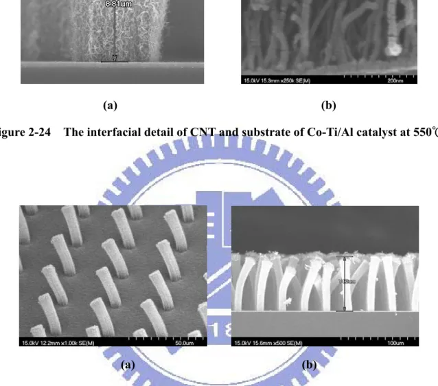 Figure 2-25    The (a) top view and (b) profile of pillar-liked CNTs at high temperature  on SEM