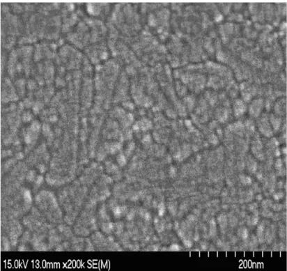 Fig. 2-2 SEM images of the conventional and the Argon implanted poly-Si films 