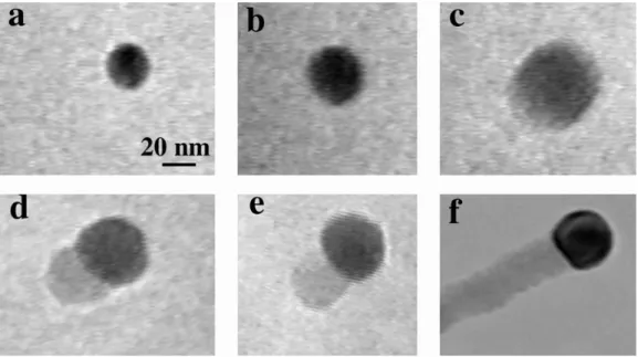 Figure 2-2. In situ TEM images recorded during the process of nanowire growth.  (a) Au nanoclusters in solid state at 500  ° C; (b) alloying initiated at 800  ° C, at this  stage Au exists mostly in solid state; (c) liquid Au/Ge alloy; (d) the nucleation o