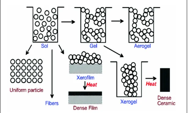Figure 2-12. Schematic of the rotes that one could follow within the scope of sol-gel  processing [38]