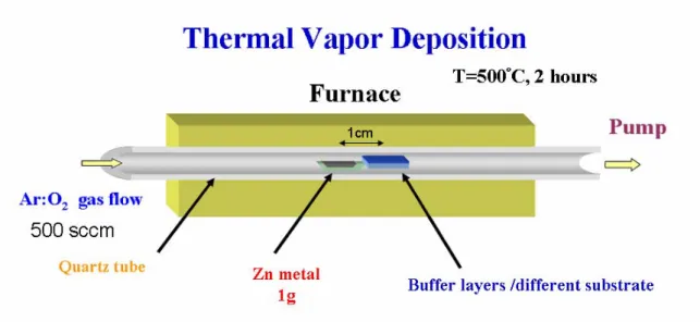 Figure 3-1. A schematic diagram of the experimental apparatus for growth of ZnO  nanowires