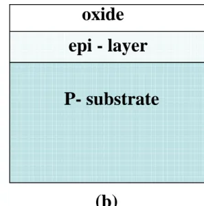Fig. 2.4 Two types of CMOS substrate    (a)  P-substrate (b) P-epi layer on top of P-substrate 