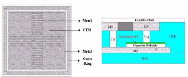 Fig. 2.3.2 (a) Layout top view (b) Cross section view of MIM capacitor 