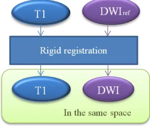 Figure 2.1: Intra-subject alignment