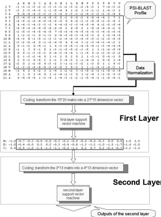 Fig. 3.1.    The dual-layer SVM architecture. 
