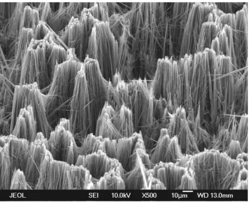 圖 2-21.140μm 奈米線的傾斜 45 度 SEM 圖。 