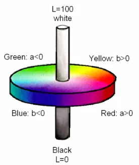 Fig. 2-3 L*a*b* color model 