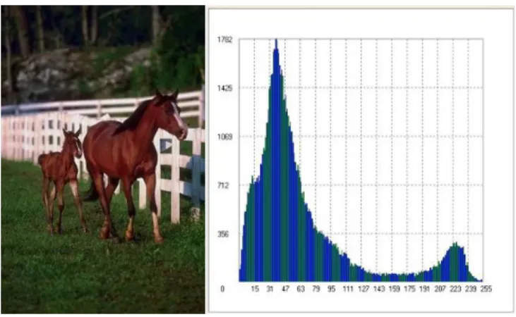 Fig. 2-11 Two different images with similar color histograms. 