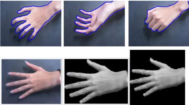 Figure 4.1 Examples of our image segmentation input and output.   