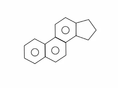 圖 15 Cyclopentanoperhydrophenanthrene 結構式      類固醇主要可以區分為兩類，分別為天然類固醇與合成類固醇。天然 類固醇的主要來源，是從動物或植物上取得，對於製藥工業而言，是相當 重要的物質。一些類固醇經過適當的萃取或是純化之後，就可以直接做為 藥物的原料或是賦形物 (excipient)。          另一個類固醇來源，則是藉由合成的途徑來獲得。由此所獲得的類固 醇純度與產量通常較天然類固醇高。但其所涉及的問題，在於產物中微量 不純物質的分析與鑑定，這對於類