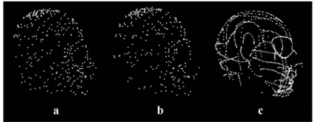 Figure 1.4: The inhomogeneous digitized points. Subject a: the most uniform distribution of points