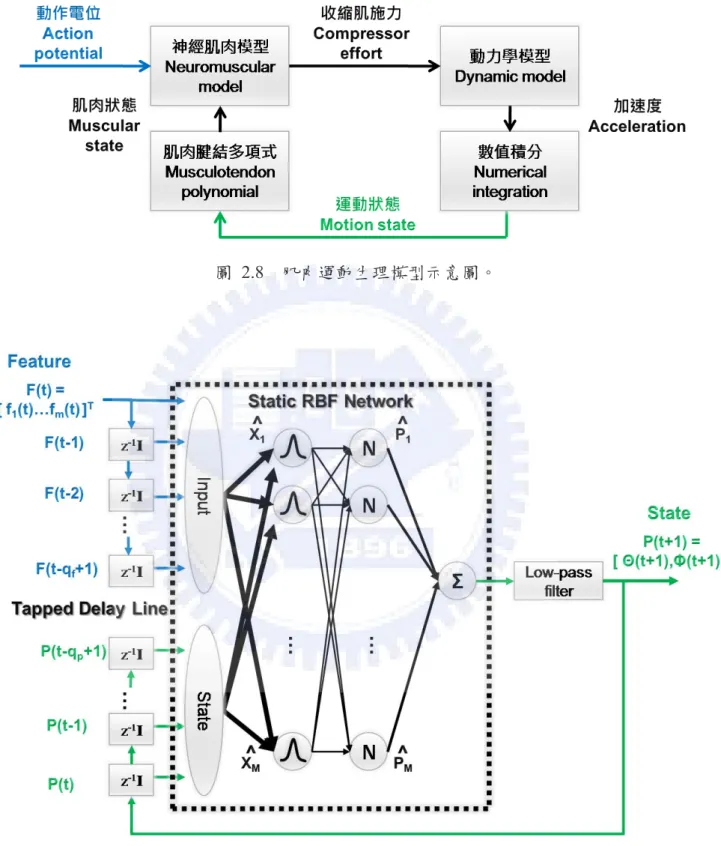 圖 2.8  肌肉運動生理模型示意圖。 