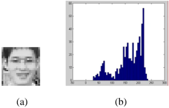 Figure 2-5(a) is the chosen target image and (b) is the histograms of the chosen  target image