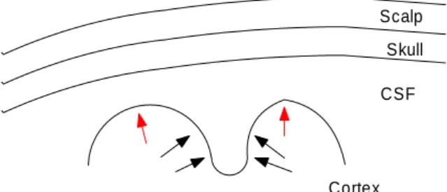 Figure 1.1: EEG has some advantages than MEG, such as it can sense the radial oriented brain activities (red arrows).