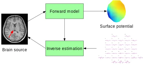 Figure 1.4: Flowchart of the forward model and the inverse estimation. The forward model can calculate the surface potential using known current dipole, and the inverse estimation can estimate the current dipole using known surface potential.