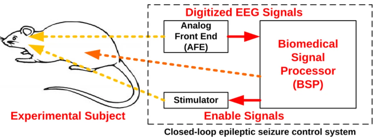 Fig. 3.1  Closed-loop epileptic seizure control system 