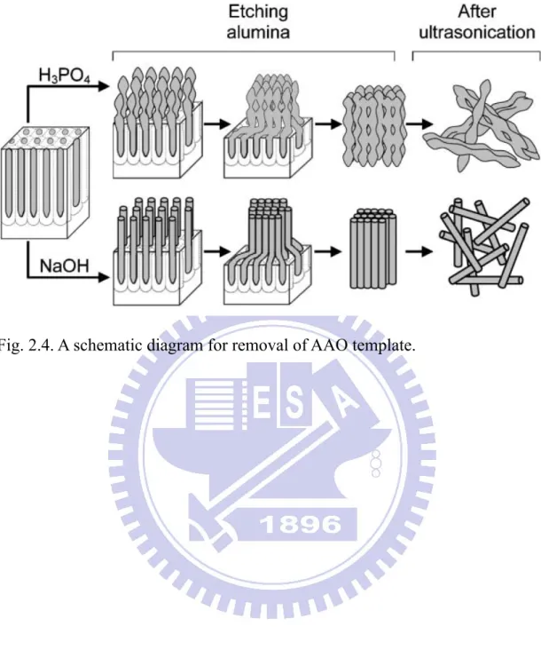 Fig. 2.4. A schematic diagram for removal of AAO template. 