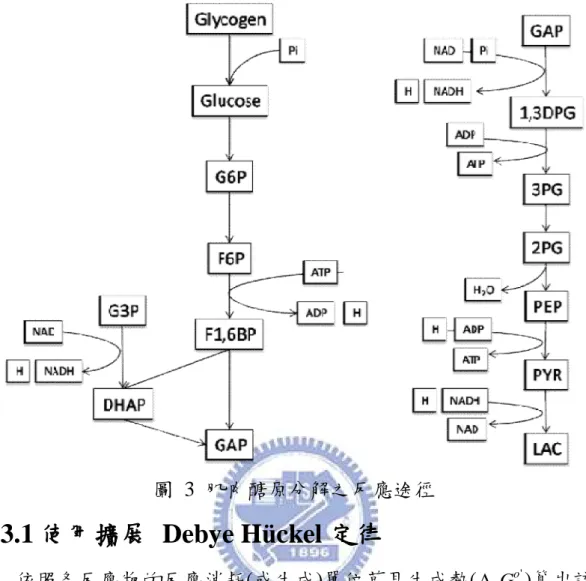 圖  3  肌肉醣原分解之反應途徑  2.3.1 使用擴展 Debye Hückel 定律  依照各反應物的反應消耗(或生成)單位莫耳生成熱( ∆ f G i o ' )算出該 成分在這個反應狀況下中所提供(或生成)的能量，計算各成份的反應 能量總和可得到反應熱。而生成熱會受到 pH、溫度、離子強度以及電 價數的影響，根據擴展的 Debye-Hückel  定律在不同溫度下的離子物 質可用(13)式計算[54, 58]，且當離子強度為 0.05 ~ 0.25M 範圍內的計 算結果相當值得信賴。  1 2 1