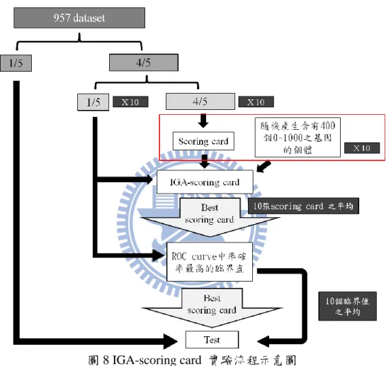 圖 8 IGA-scoring card  實驗流程示意圖 