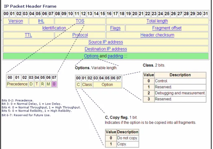 圖 3.5 IP Packet Layout/Header 