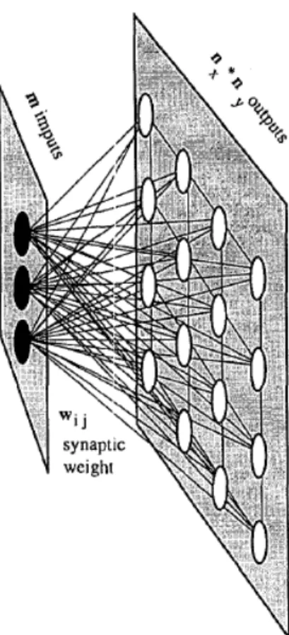 Figure 1. The self organizing map structure 