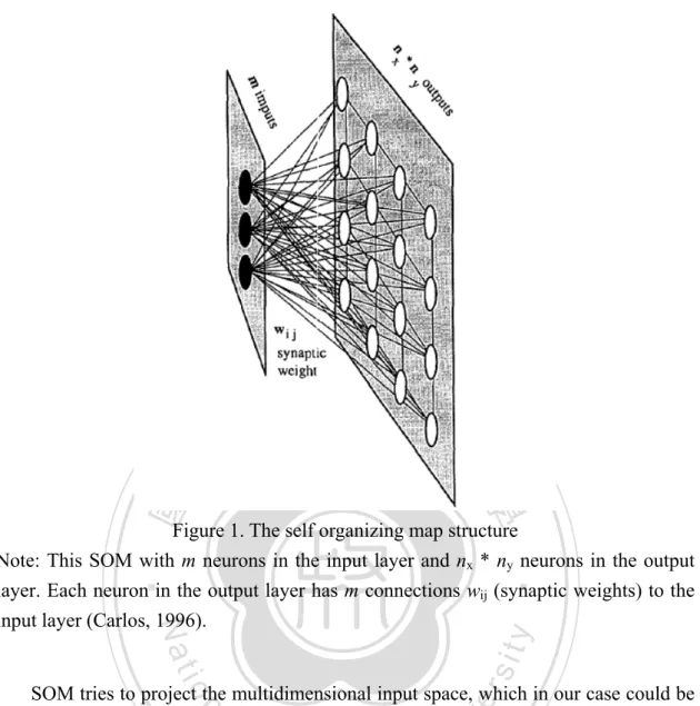 Figure 1. The self organizing map structure 