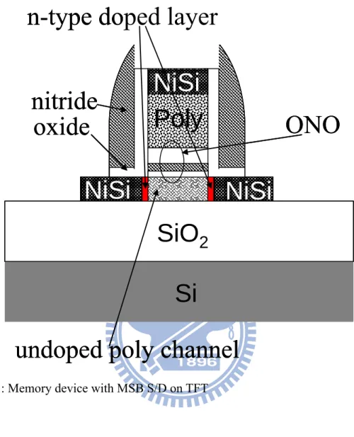 Fig. 2-1: Memory device with MSB S/D on TFT 