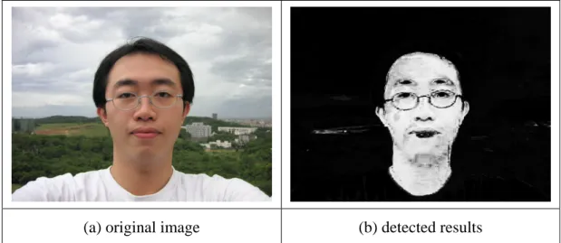 Figure 1-1 Example of skin color detection 