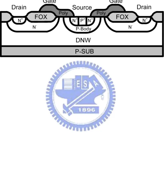 Fig. 2.4 Schematic cross section of the LDMOS transistor. 