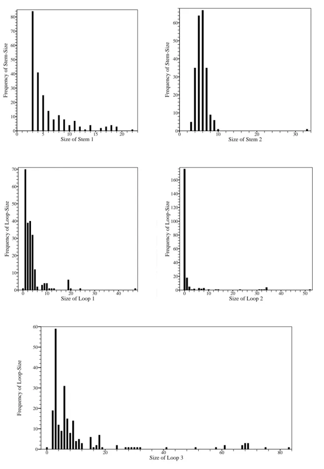 Figure 2.2: Frequencies of stem- and loop-sizes of pseudoknots in PseudoBase.