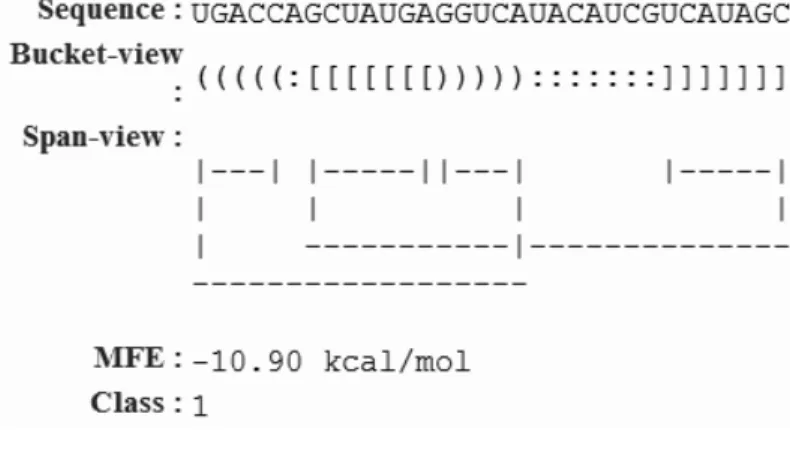 Figure 4.2: An example of a detected h-pseudoknot by HPknotter.