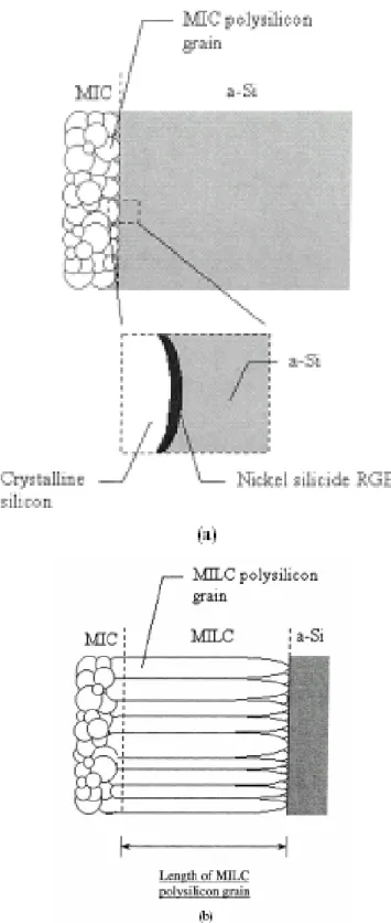 Fig. 2-5   MILC polysilicon formation during annealing process. (a) At the  beginning of the annealing process, many nickel atoms are trapped and nickel  silicide is formed at the grain boundaries of the MILC polysilicon region