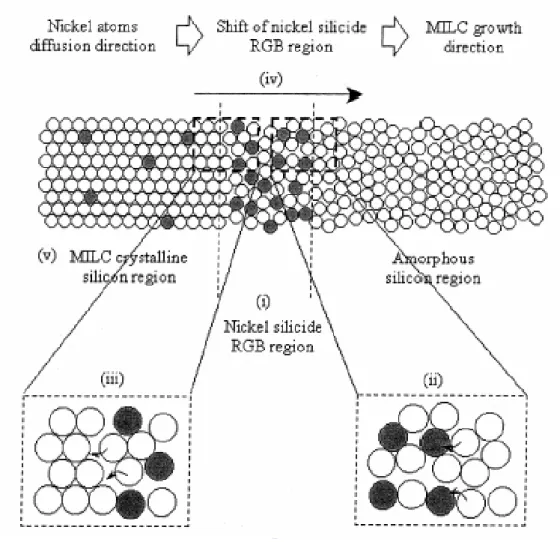 Fig. 2-6  MILC polysilicon formation mechanism. (i) Most of nickel atoms are  trapped at the nickel silicide RGB, which is a layer between the amorphous silicon  (a-Si) and MILC crystalline silicon regions