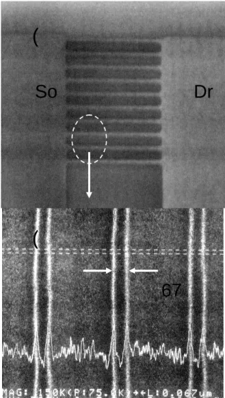 Fig. 4-2  (a) Scanning electron microscopy photography of active pattern with the source,  the drain and multiple nano-wire channels of M10 TFT