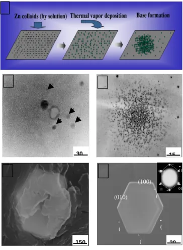Fig.  1.  SEM  images  of  the  Zn  polygon  prismatic  crystals  synthesized  by  liquid  solution  and  vapor  transport method